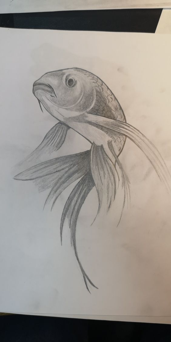 Zeichnungen 