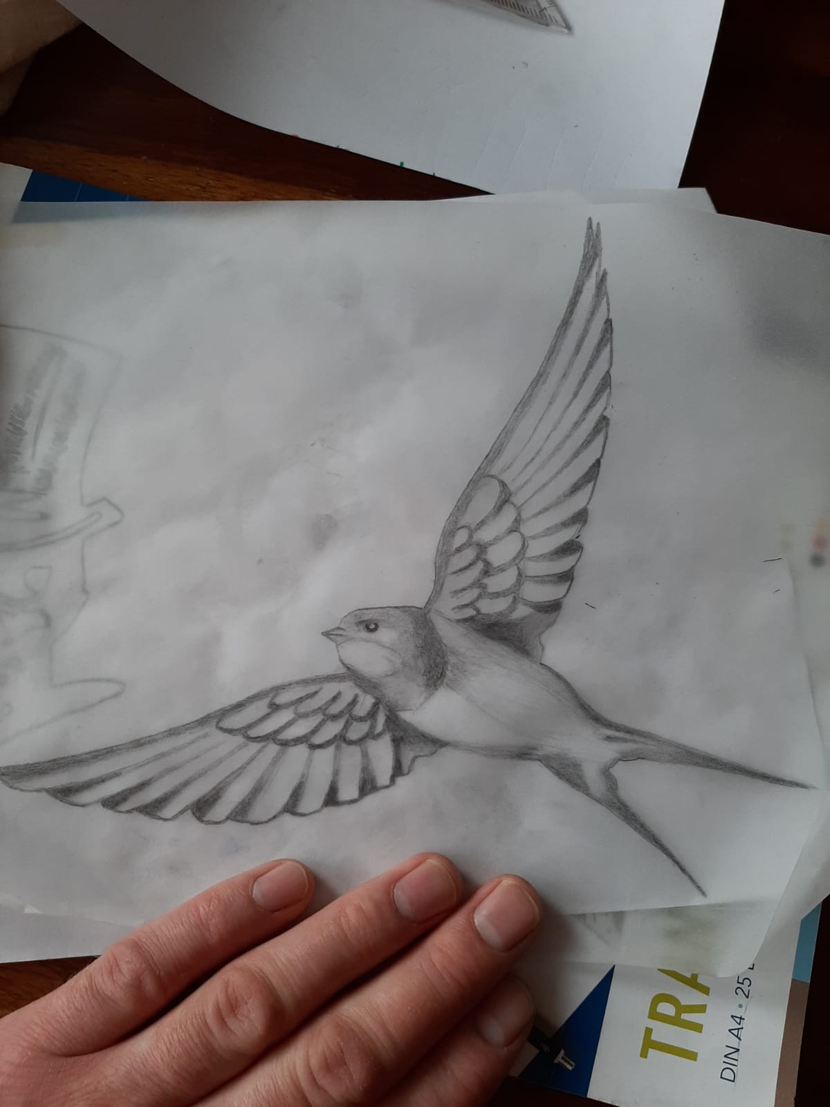 Zeichnungen 