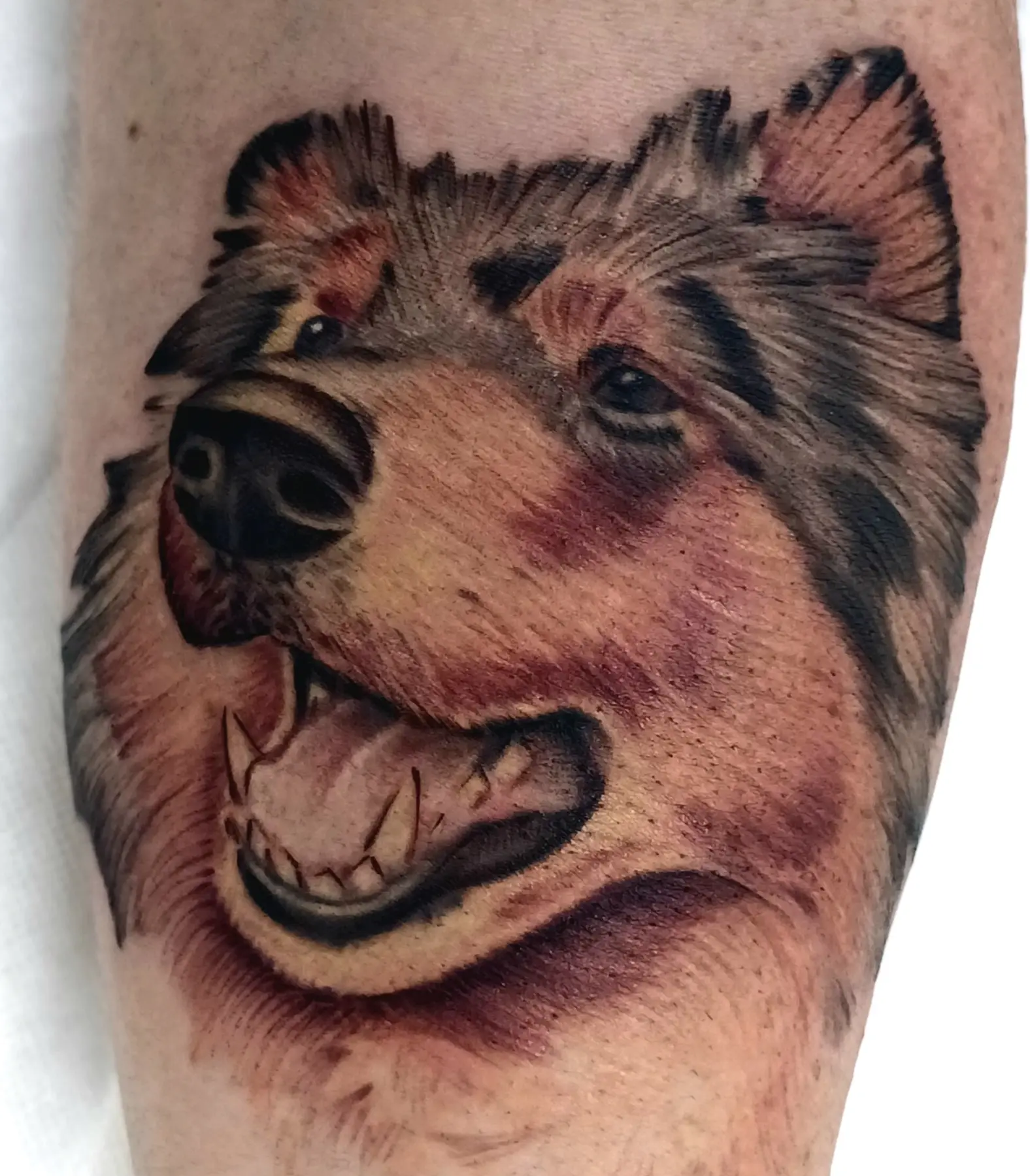 Farbwerk Tattoostudio 